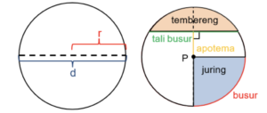 Lingkaran: Konsep Dasar, Rumus, Aplikasinya, Contoh Soal