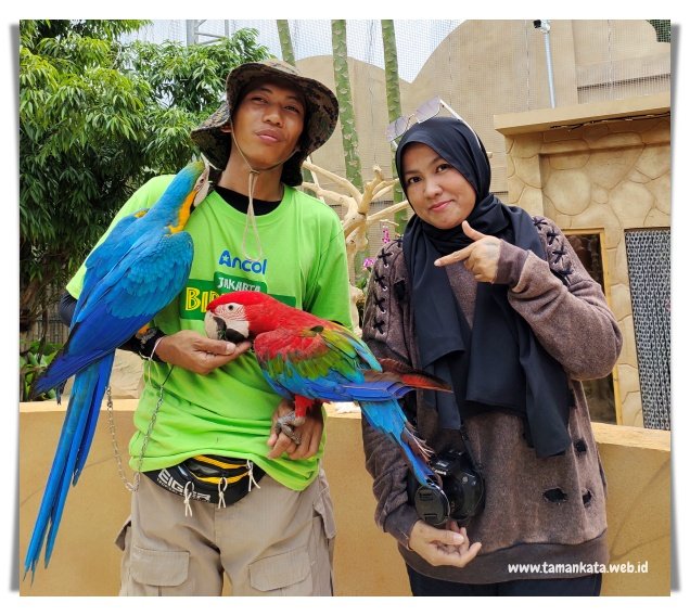 Jakarta Bird Land Ancol