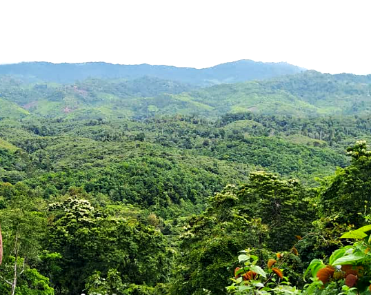 Pegunungan Meratus Kalimantan Selatan
