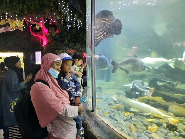 Rislah Pasien Shelter Sehati ke Sea World Ancol