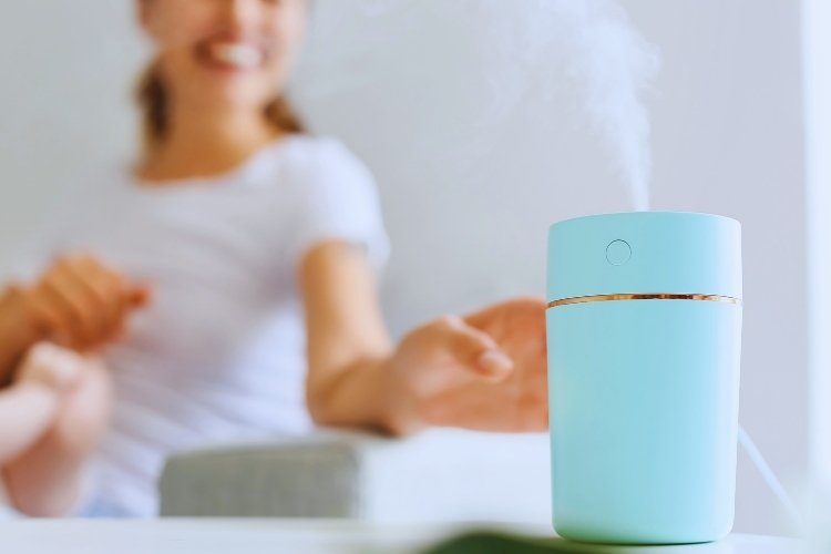 Tips Sederhana: Kapan Waktu Terbaik Menyalakan Dehumidifier?